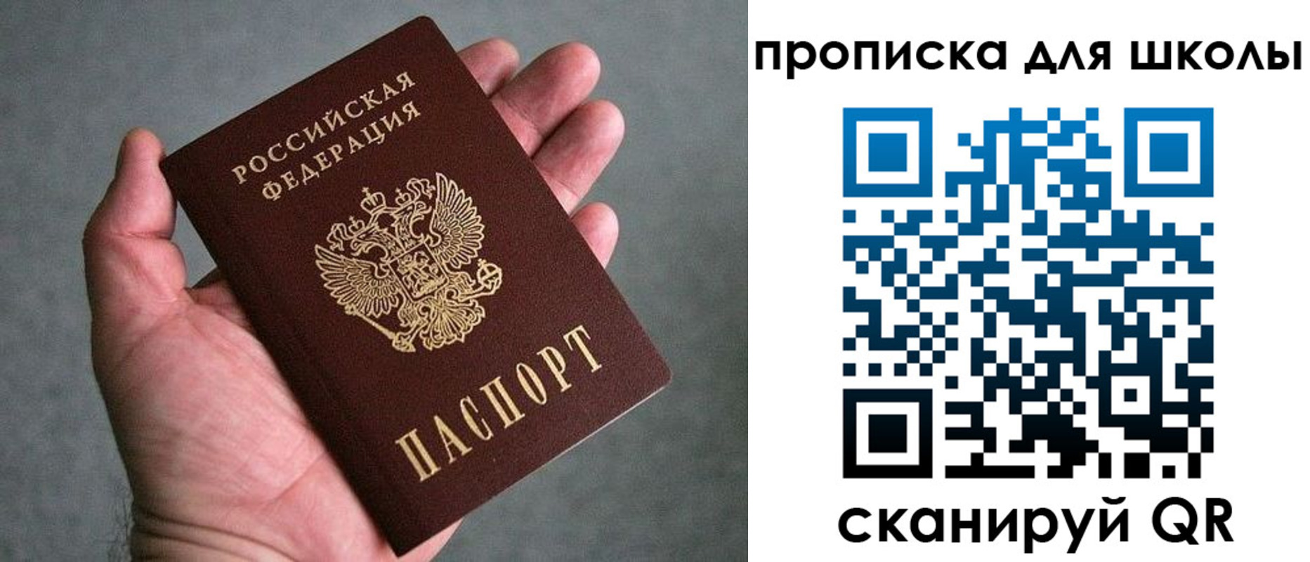 прописка для школы в Далматово